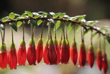 中山石岐1私人快速借钱网，轻松解决资金难题