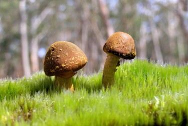 中山石岐1私人老板放款：轻松融资的秘密通道